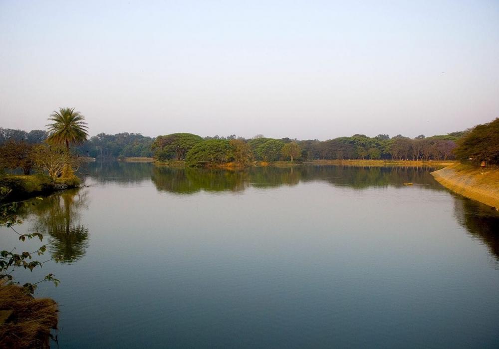 The Weekend Leader - Incessant rain fill up hundreds of lakes at K'taka's Bandipur Tiger Reserve